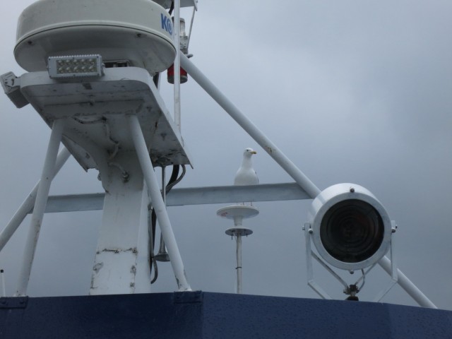 Hurtigruten_2015-06-25_16-33-2